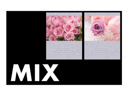Fotoalbum P2-6836 Rose mix