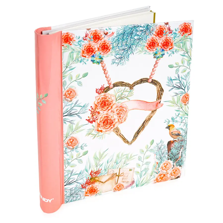 Fotoalbum DRS-30W Palpation 2