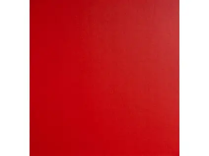 Fotoalbum FA-308-R Fun červené