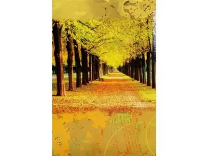 Fotoalbum B-35200S Main 2 žluté