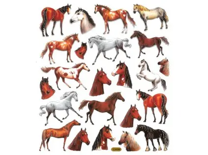 Samolepky papírové DPNK-123 koně DP