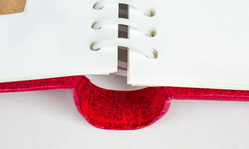 Fotoalbum DRS-20 Vinyl 1 vínové