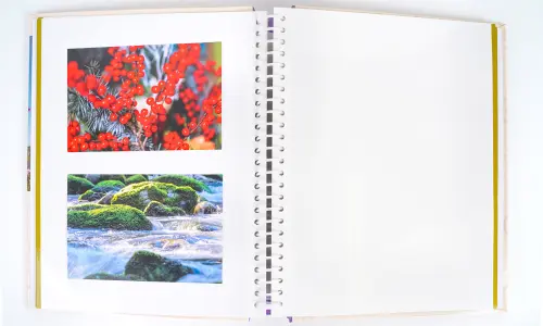 Fotoalbum DRS-10 Beauty 2