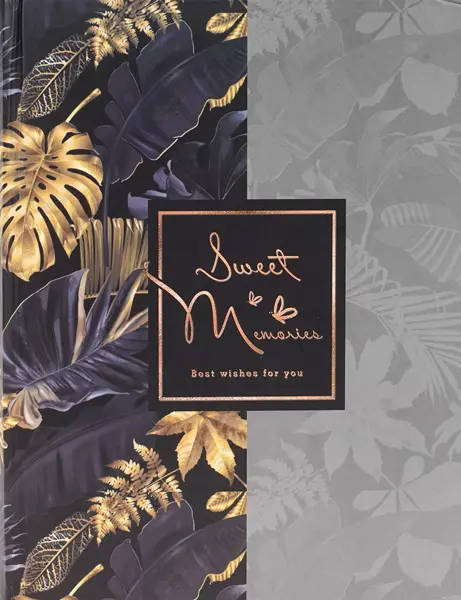 Fotoalbum KD-46200 Vinci 2 modré PL