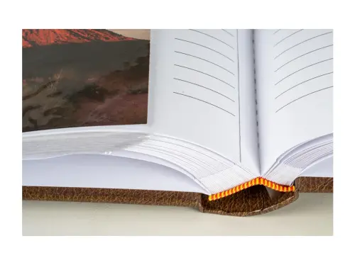 10329396346881_0_230611_1_M_E