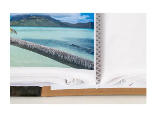 10329396346881_0_230968_2_M_E