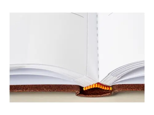 10329396346881_0_231703_2_M_E