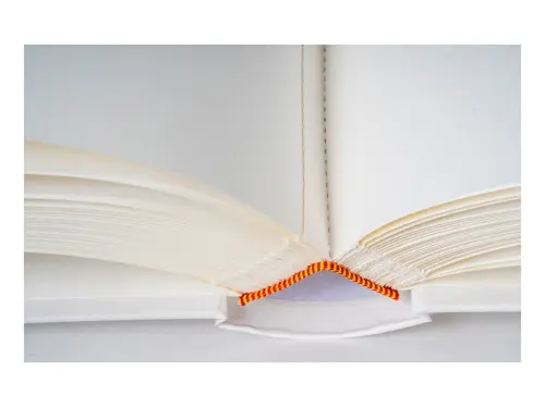 10329396346881_0_232106_M_E