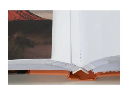 10329396346881_0_235509_1_M_E