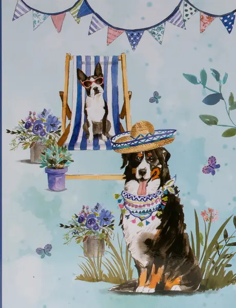 Fotoalbum DPH-4636B Snug 1