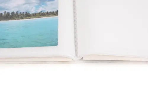 Fotoalbum P2-4664 Goldie mix