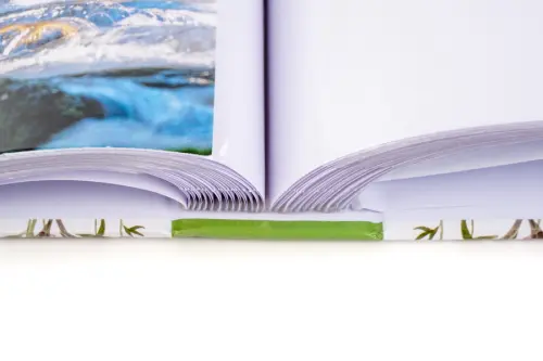 Fotoalbum B-46200 Abloom 2