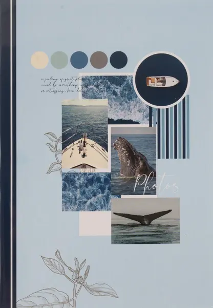 Fotoalbum P2-4624 Moments mix