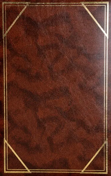 Fotoalbum B-46300S Vinyl 2 hnědé