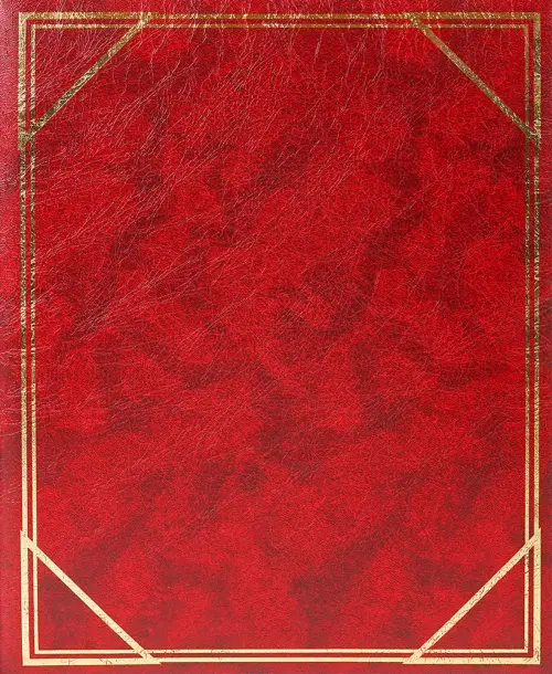 Fotoalbum BSS-20 Vinyl 1