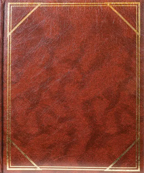 Fotoalbum BSS-20 Vinyl 2