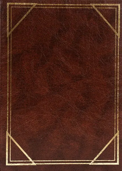 Fotoalbum B-46200S Vinyl 2 hnědé