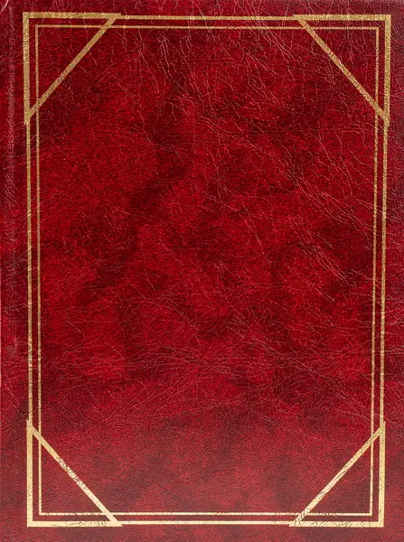 Fotoalbum B-46300/2S Vinyl 1 vínové