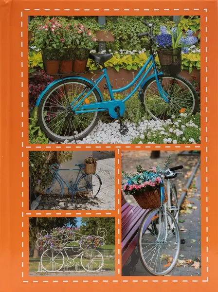 Fotoalbum B-46300/2S Bike 2