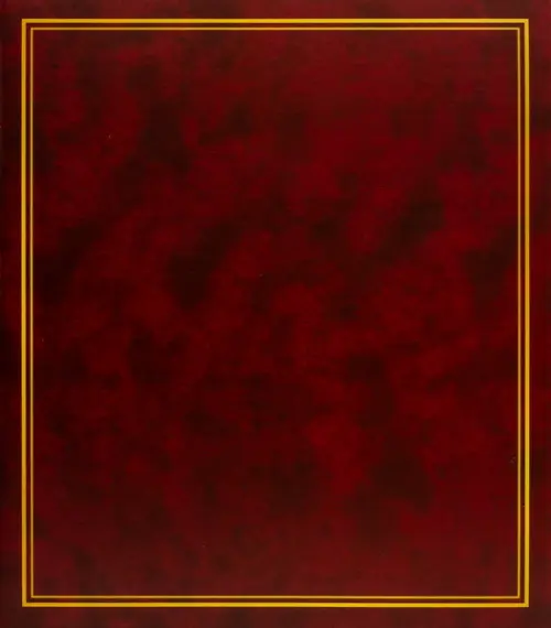 Fotoalbum B-46500S Vinyl 1 vínové PL