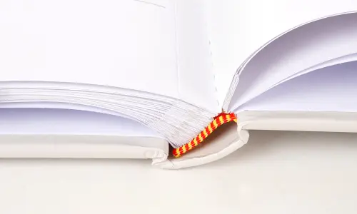 Fotoalbum B-6850SW Corsage