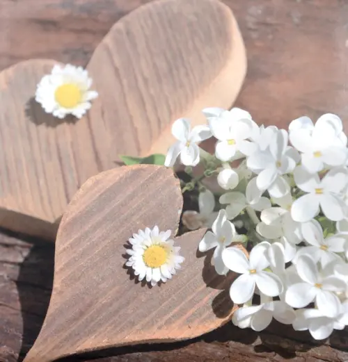 Fotoalbum DBLP-30 Firry 2