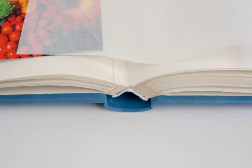 Fotoalbum DBCL-30 Homage 2