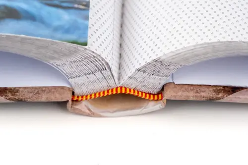 Fotoalbum B-46200S Ginko 1