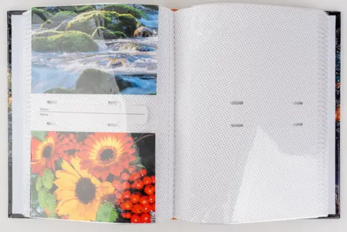Fotoalbum B-46200S Ginko 2