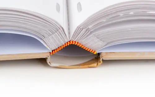 Fotoalbum B-46500S Ginko 1