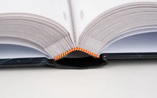 Fotoalbum B-46500S Ginko 2