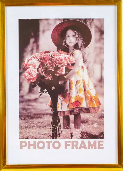 Fotorámeček Simple 2 29,7x42 4 zlatý