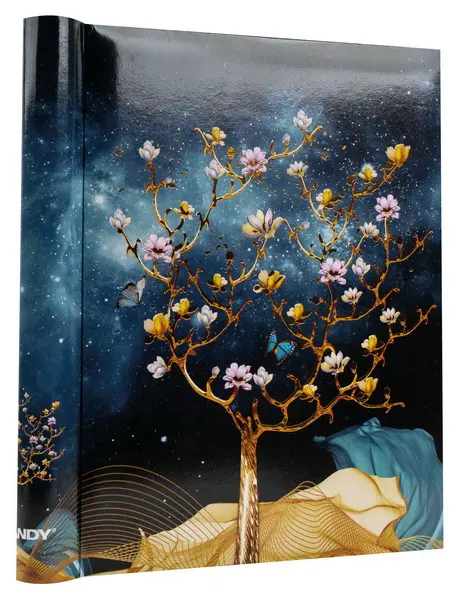 Fotoalbum DRS-30 Goldie 2