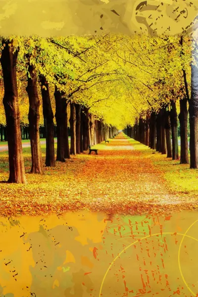 Fotoalbum B-35200S Main 2 žluté