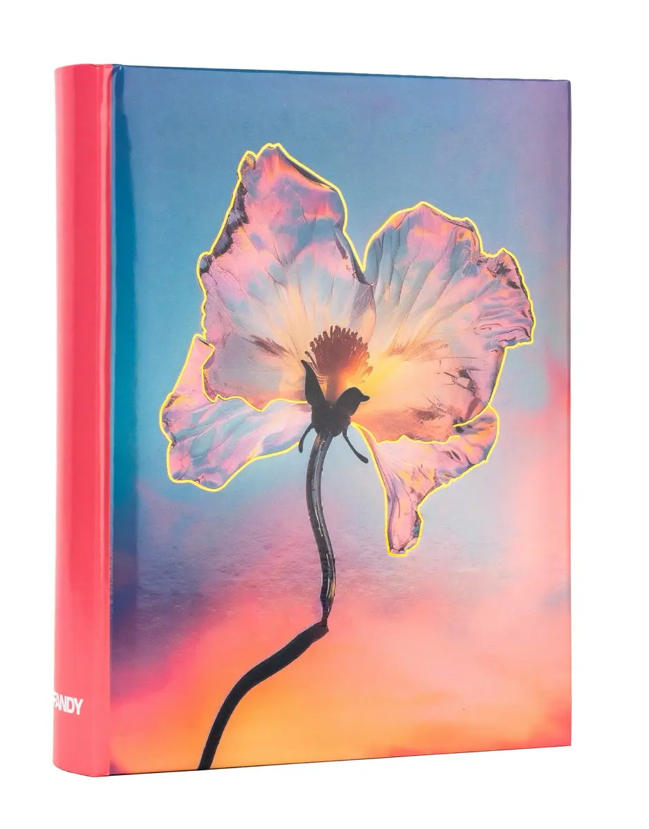 Fotoalbum B-46200S Silky 1