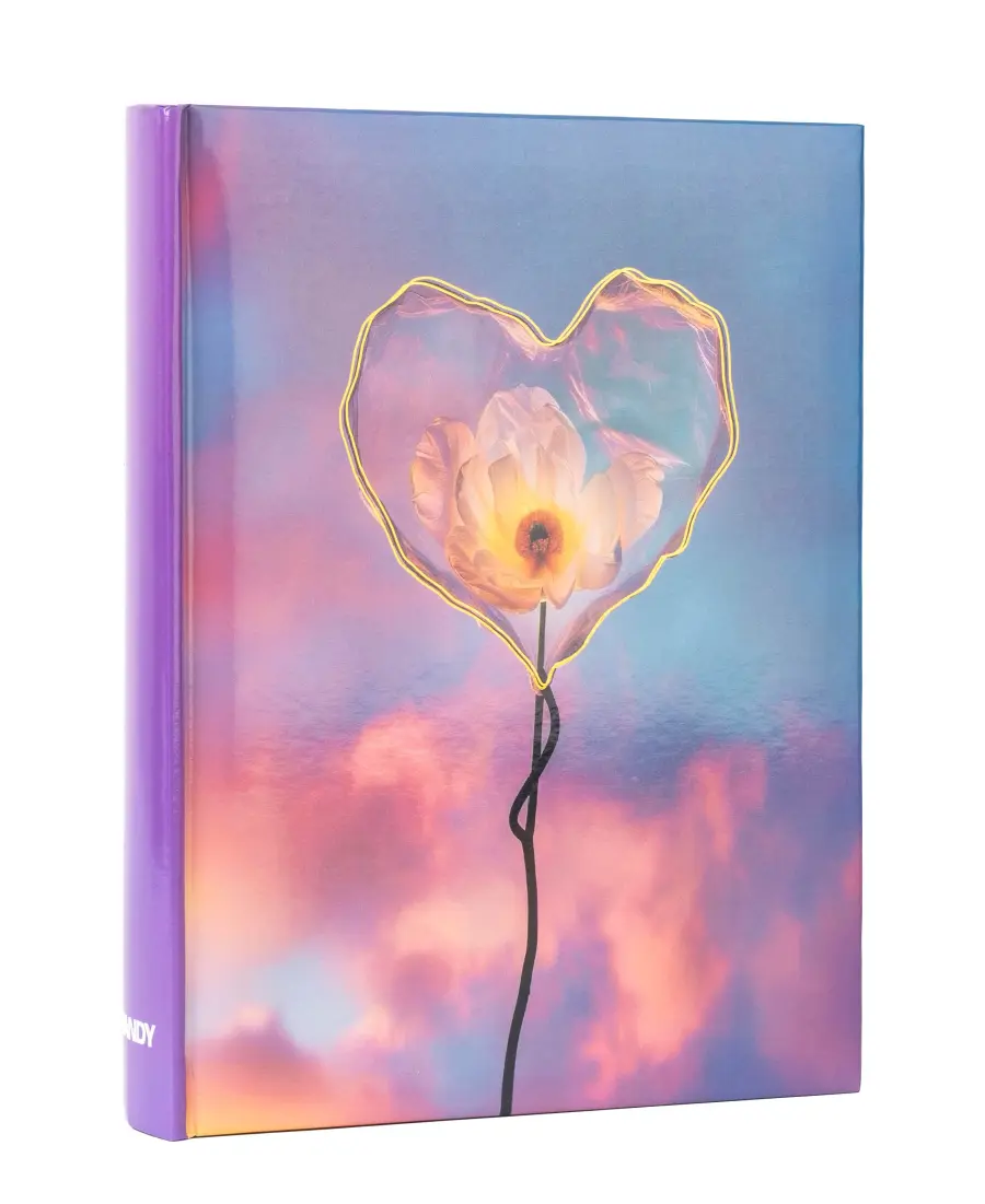 Fotoalbum B-46200S Silky 2