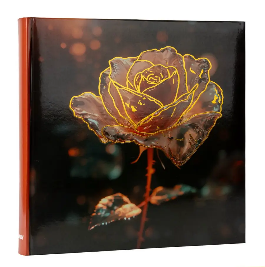 Fotoalbum B-46500S Frosty 1