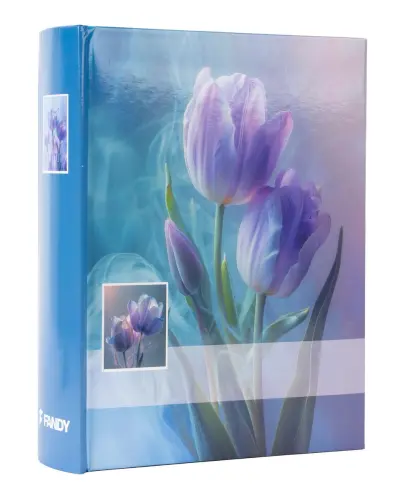 Fotoalbum B-46300/2S Magic 1