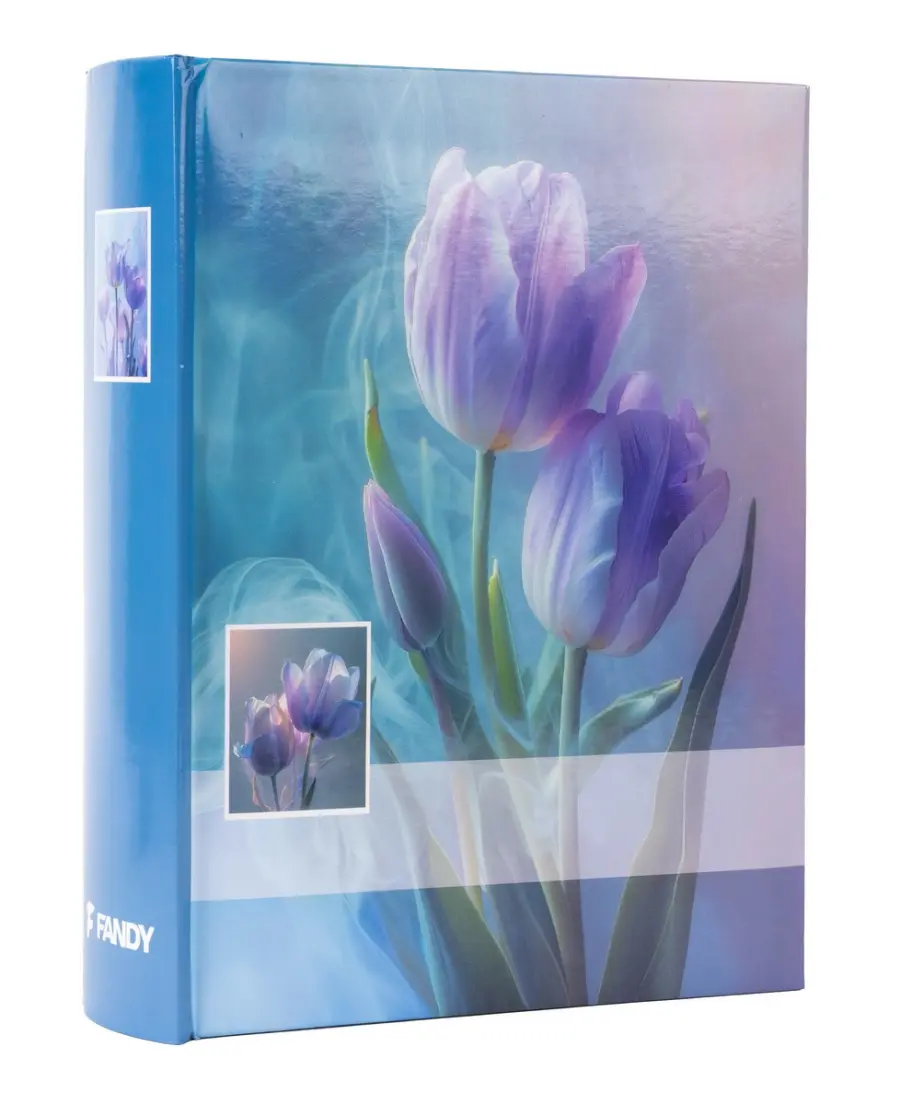 Fotoalbum B-46300/2S Magic 1