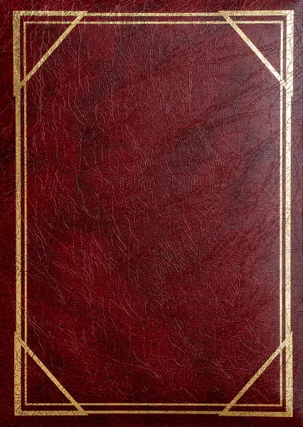 Fotoalbum B-35300/2S Vinyl 1 vínové