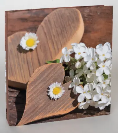 Fotoalbum DBLP-30 Firry 2