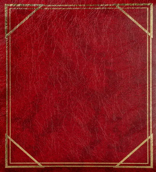 Fotoalbum B-6850S Vinyl 1 vínové