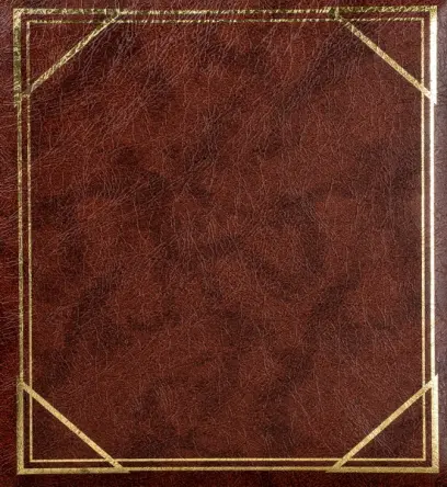 Fotoalbum B-6850S Vinyl 2 hnědé