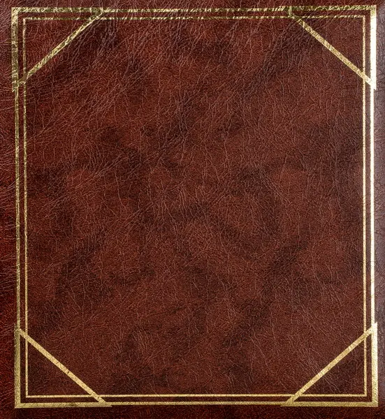 Fotoalbum B-6850S Vinyl 2 hnědé