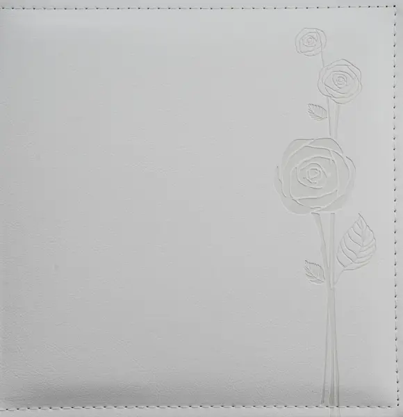 Fotoalbum DBCSS-20W Mere