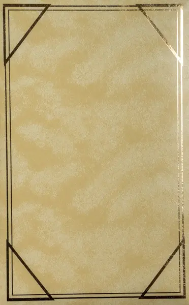 Fotoalbum B-46300S Vinyl 5 béžové