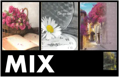 Fotoalbum P2-4664 mix PL