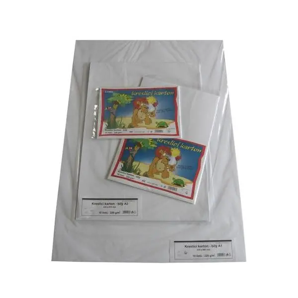 Karton kreslicí A2 220 g 10 listů
