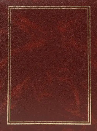 Fotoalbum B-57100S Vinyl 2 hnědé PL