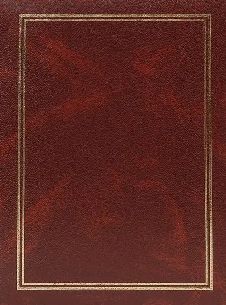 Fotoalbum B-57100S Vinyl 2 hnědé PL